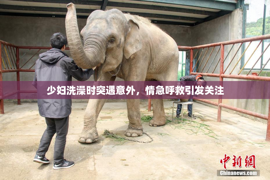 少妇洗澡时突遇意外，情急呼救引发关注