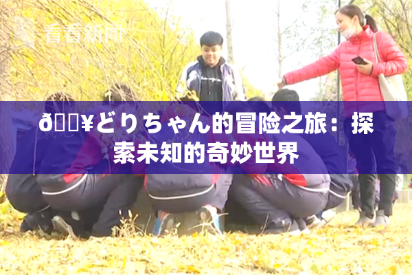 🔥どりちゃん的冒险之旅：探索未知的奇妙世界