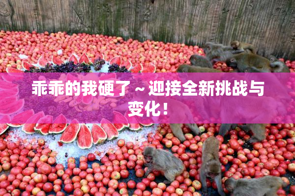 乖乖的我硬了～迎接全新挑战与变化！