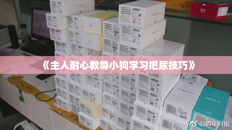 《主人耐心教导小狗学习把尿技巧》