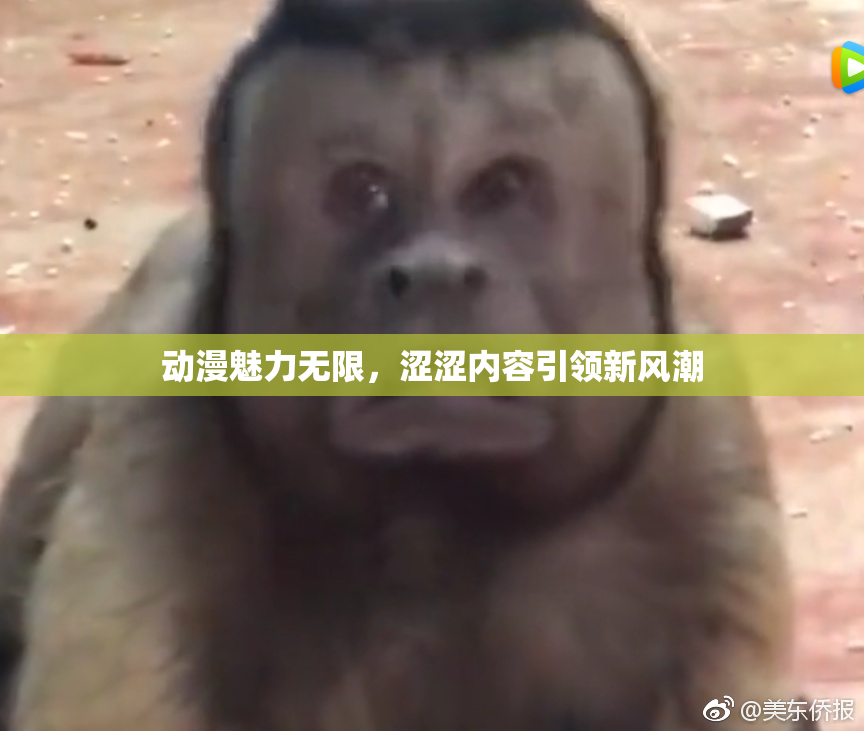 动漫魅力无限，涩涩内容引领新风潮