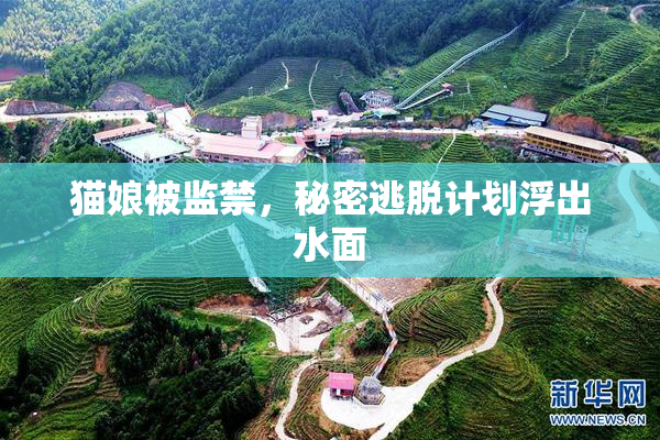 猫娘被监禁，秘密逃脱计划浮出水面