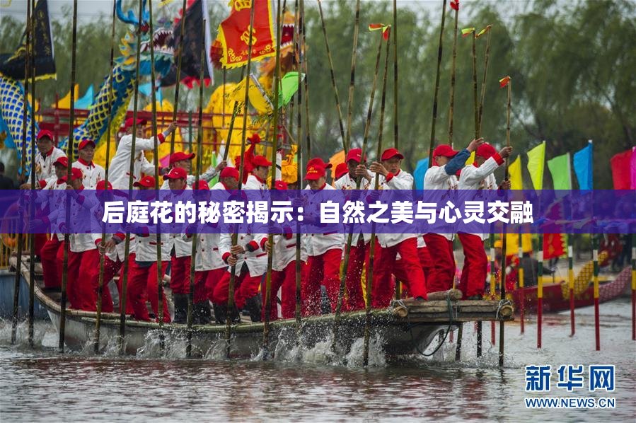 后庭花的秘密揭示：自然之美与心灵交融