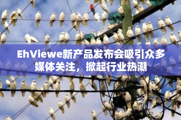 EhViewe新产品发布会吸引众多媒体关注，掀起行业热潮