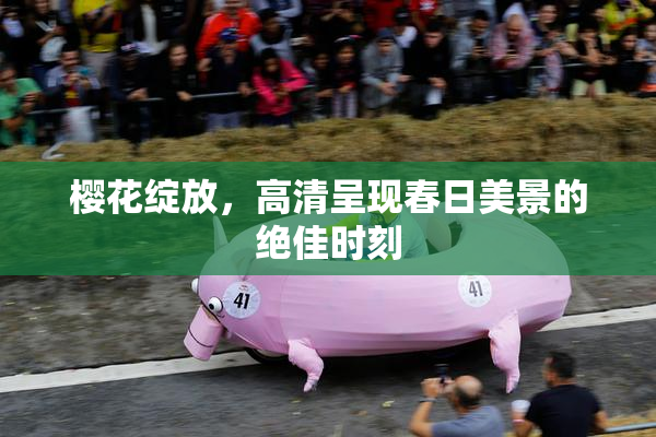 樱花绽放，高清呈现春日美景的绝佳时刻