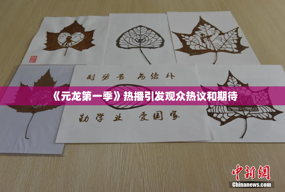 《元龙第一季》热播引发观众热议和期待