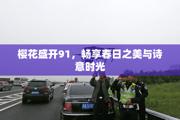 樱花盛开91，畅享春日之美与诗意时光