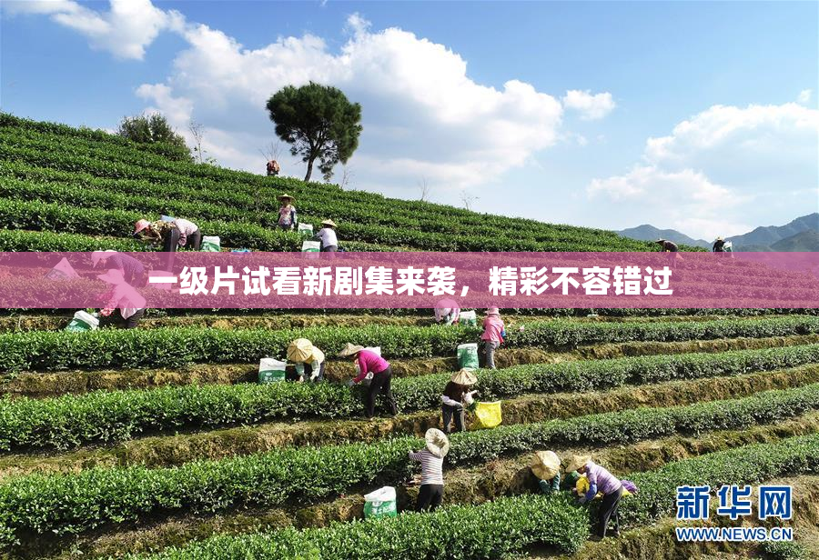 一级片试看新剧集来袭，精彩不容错过