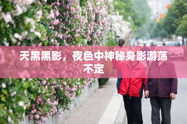 天黑黑影，夜色中神秘身影游荡不定