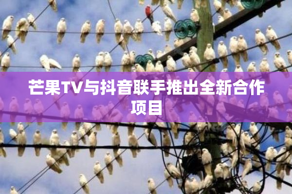 芒果TV与抖音联手推出全新合作项目
