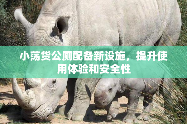 小荡货公厕配备新设施，提升使用体验和安全性