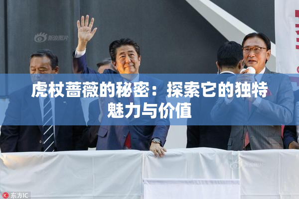 虎杖蔷薇的秘密：探索它的独特魅力与价值