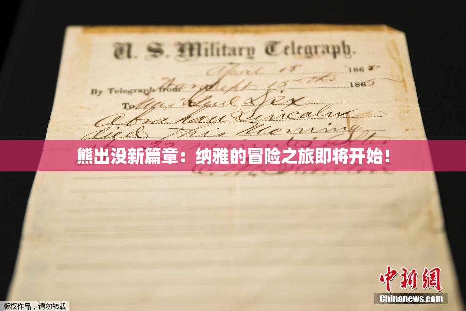 熊出没新篇章：纳雅的冒险之旅即将开始！