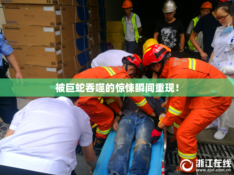 被巨蛇吞噬的惊悚瞬间重现！