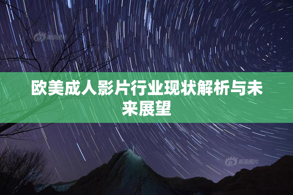 欧美成人影片行业现状解析与未来展望