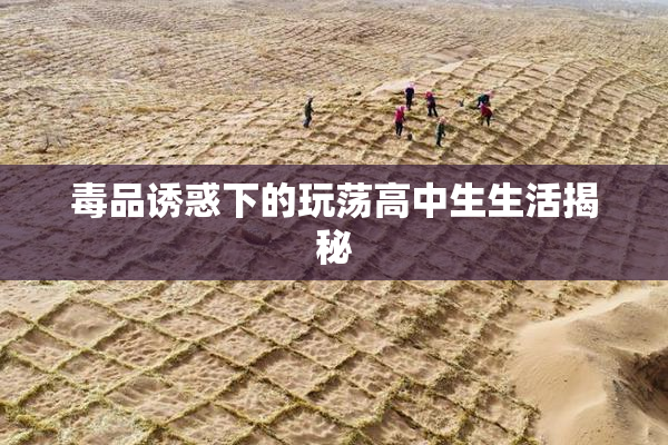 毒品诱惑下的玩荡高中生生活揭秘