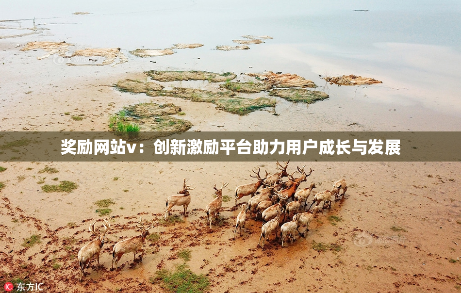 奖励网站v：创新激励平台助力用户成长与发展