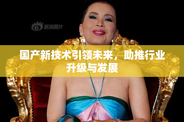 国产新技术引领未来，助推行业升级与发展