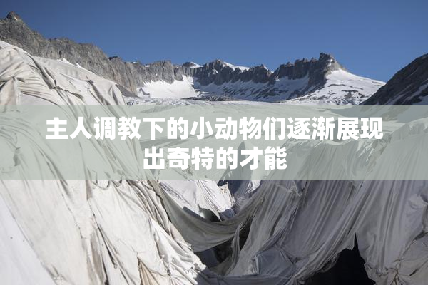 主人调教下的小动物们逐渐展现出奇特的才能