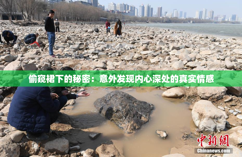 偷窥裙下的秘密：意外发现内心深处的真实情感