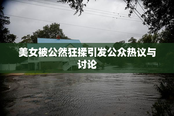 美女被公然狂揉引发公众热议与讨论