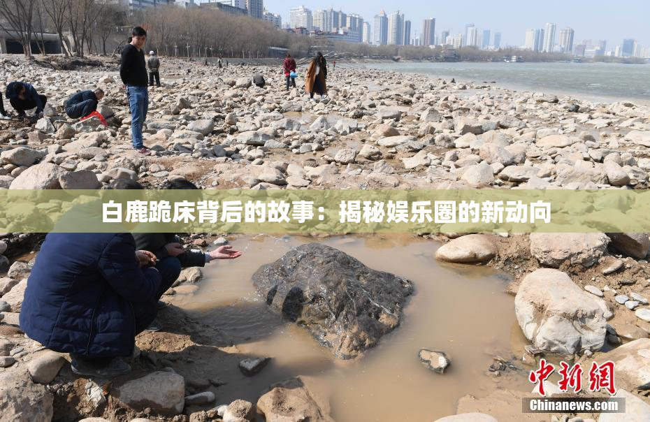 白鹿跪床背后的故事：揭秘娱乐圈的新动向