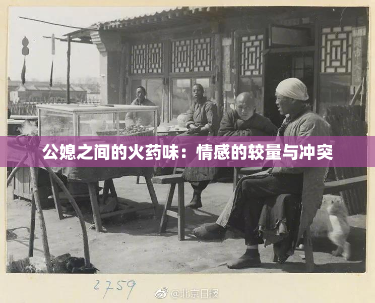 公媳之间的火药味：情感的较量与冲突