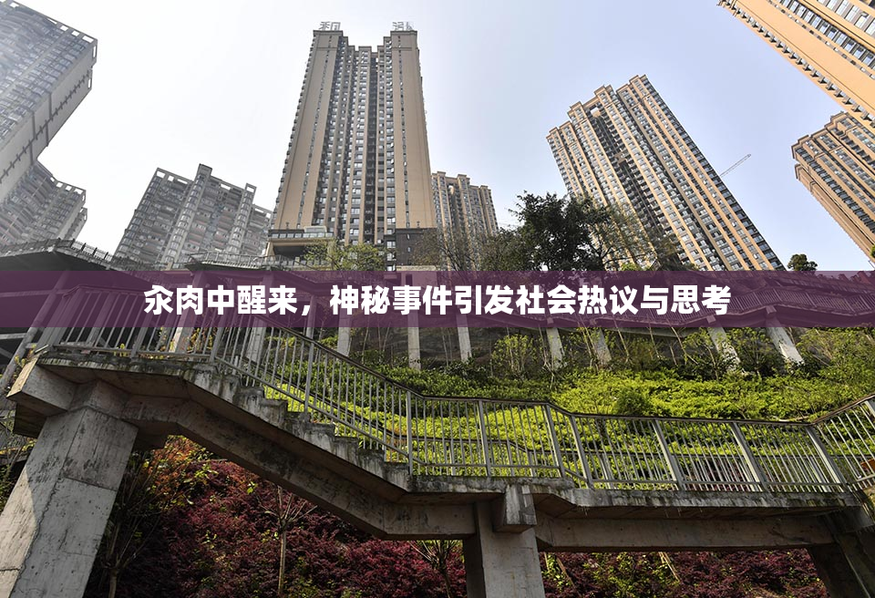 汆肉中醒来，神秘事件引发社会热议与思考