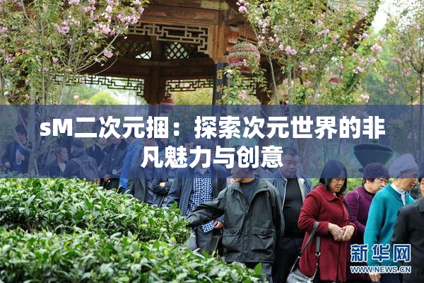 sM二次元捆：探索次元世界的非凡魅力与创意