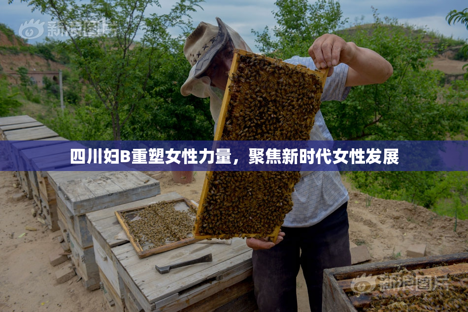 四川妇B重塑女性力量，聚焦新时代女性发展