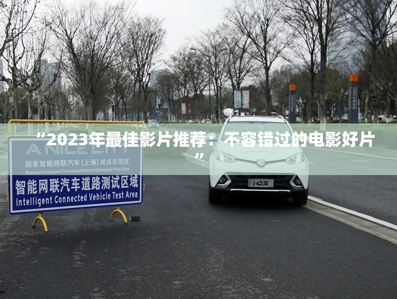“2023年最佳影片推荐：不容错过的电影好片”