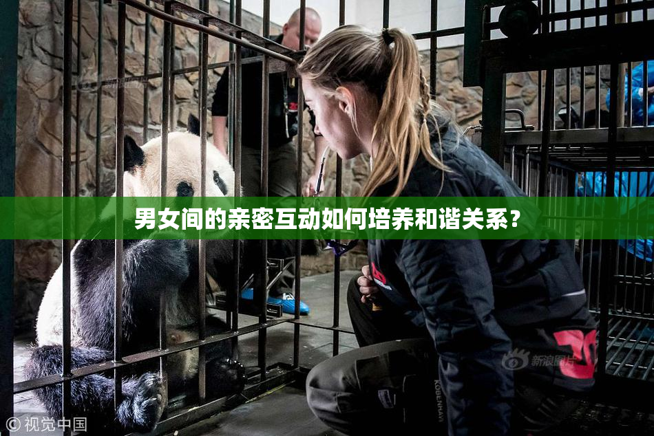 男女间的亲密互动如何培养和谐关系？