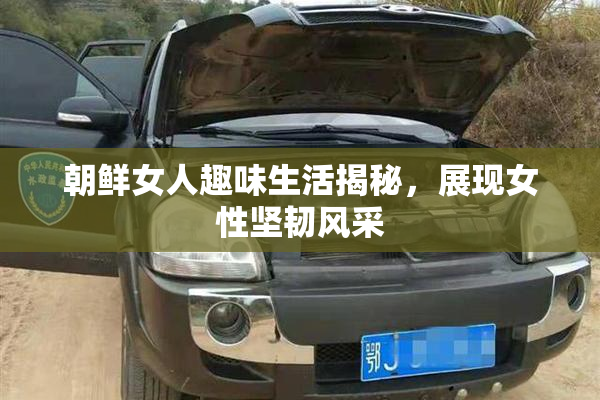 朝鲜女人趣味生活揭秘，展现女性坚韧风采