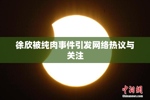 徐欣被纯肉事件引发网络热议与关注