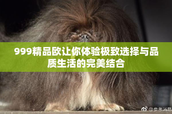999精品欧让你体验极致选择与品质生活的完美结合