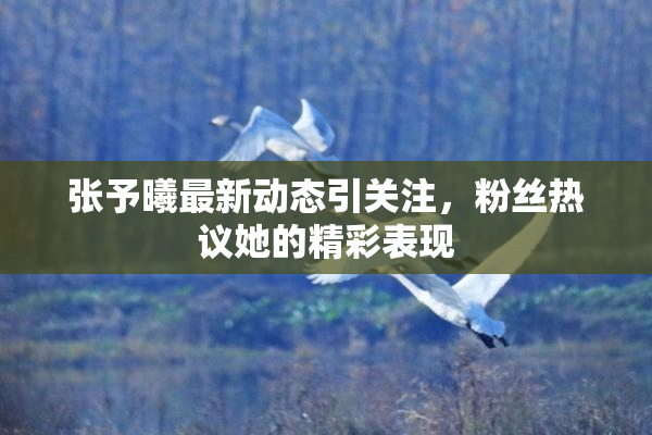 张予曦最新动态引关注，粉丝热议她的精彩表现