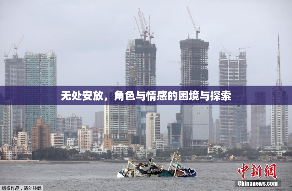 无处安放，角色与情感的困境与探索