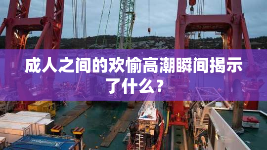 成人之间的欢愉高潮瞬间揭示了什么？