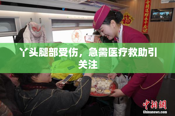 丫头腿部受伤，急需医疗救助引关注