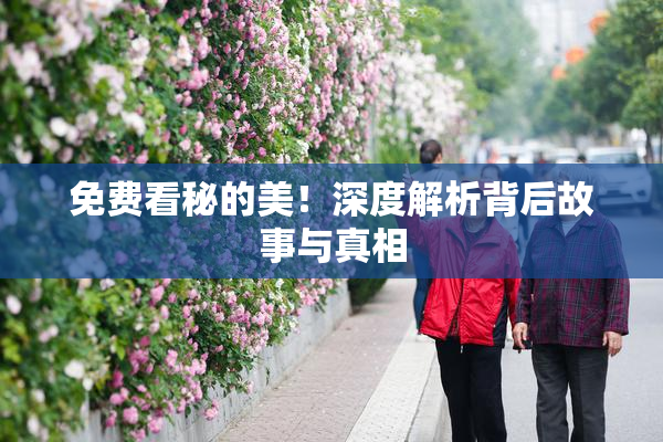 免费看秘的美！深度解析背后故事与真相