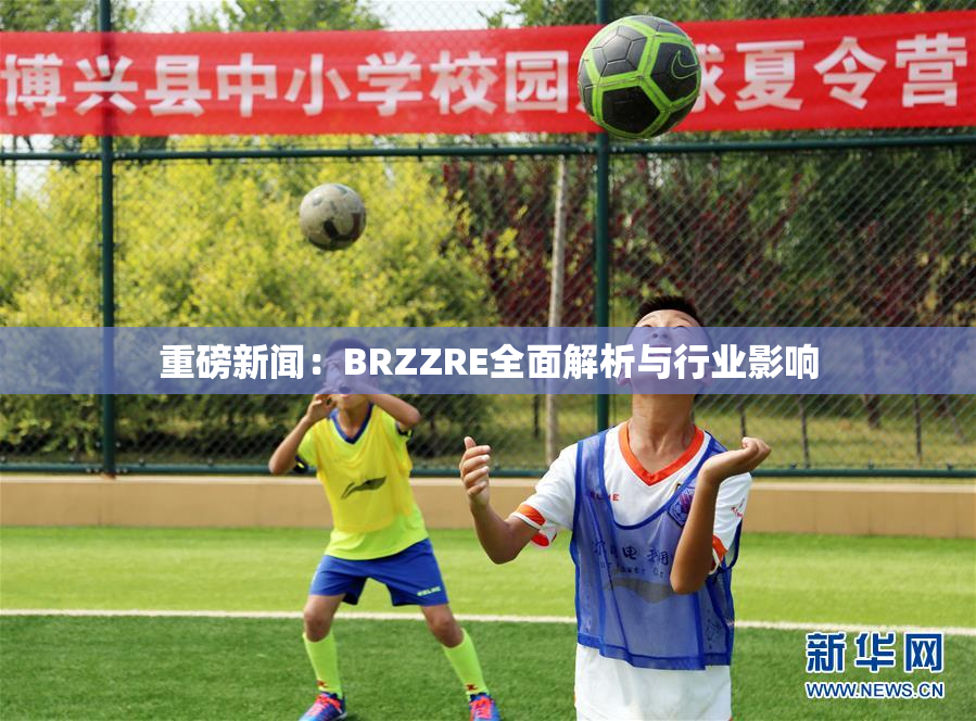 重磅新闻：BRZZRE全面解析与行业影响