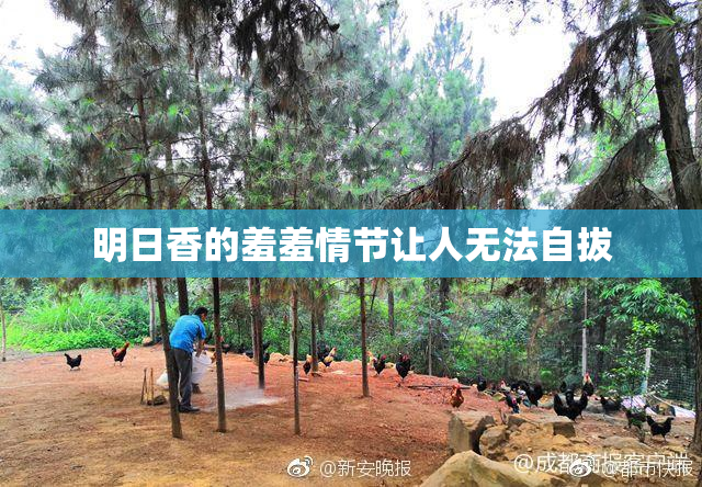 明日香的羞羞情节让人无法自拔