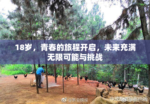 18岁，青春的旅程开启，未来充满无限可能与挑战
