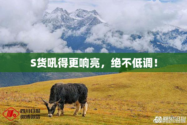 S货吼得更响亮，绝不低调！