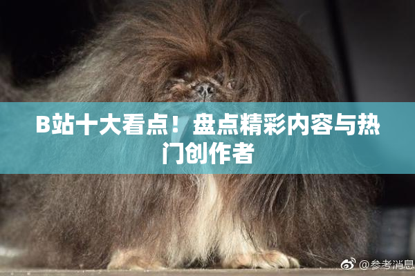 B站十大看点！盘点精彩内容与热门创作者