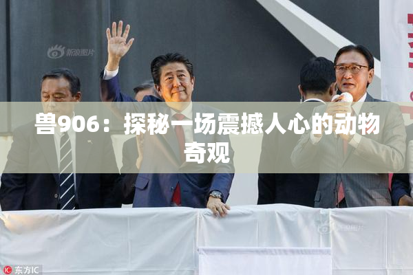 兽906：探秘一场震撼人心的动物奇观