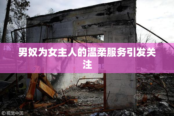 男奴为女主人的温柔服务引发关注