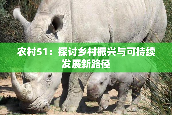 农村51：探讨乡村振兴与可持续发展新路径