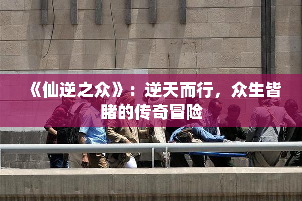 《仙逆之众》：逆天而行，众生皆睹的传奇冒险