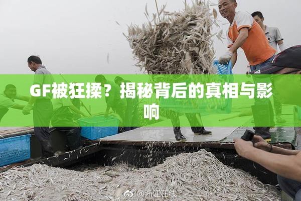GF被狂揉？揭秘背后的真相与影响